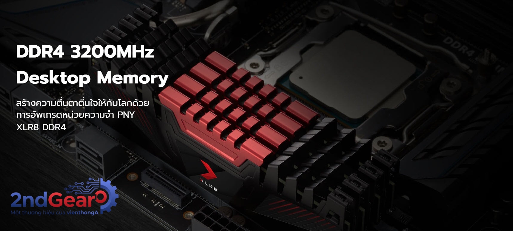 RAM PC PNY XLR8 8GB DDR4 | (1x8GB), 3200MHz, Intel/AMD (2nd) - Ảnh 5